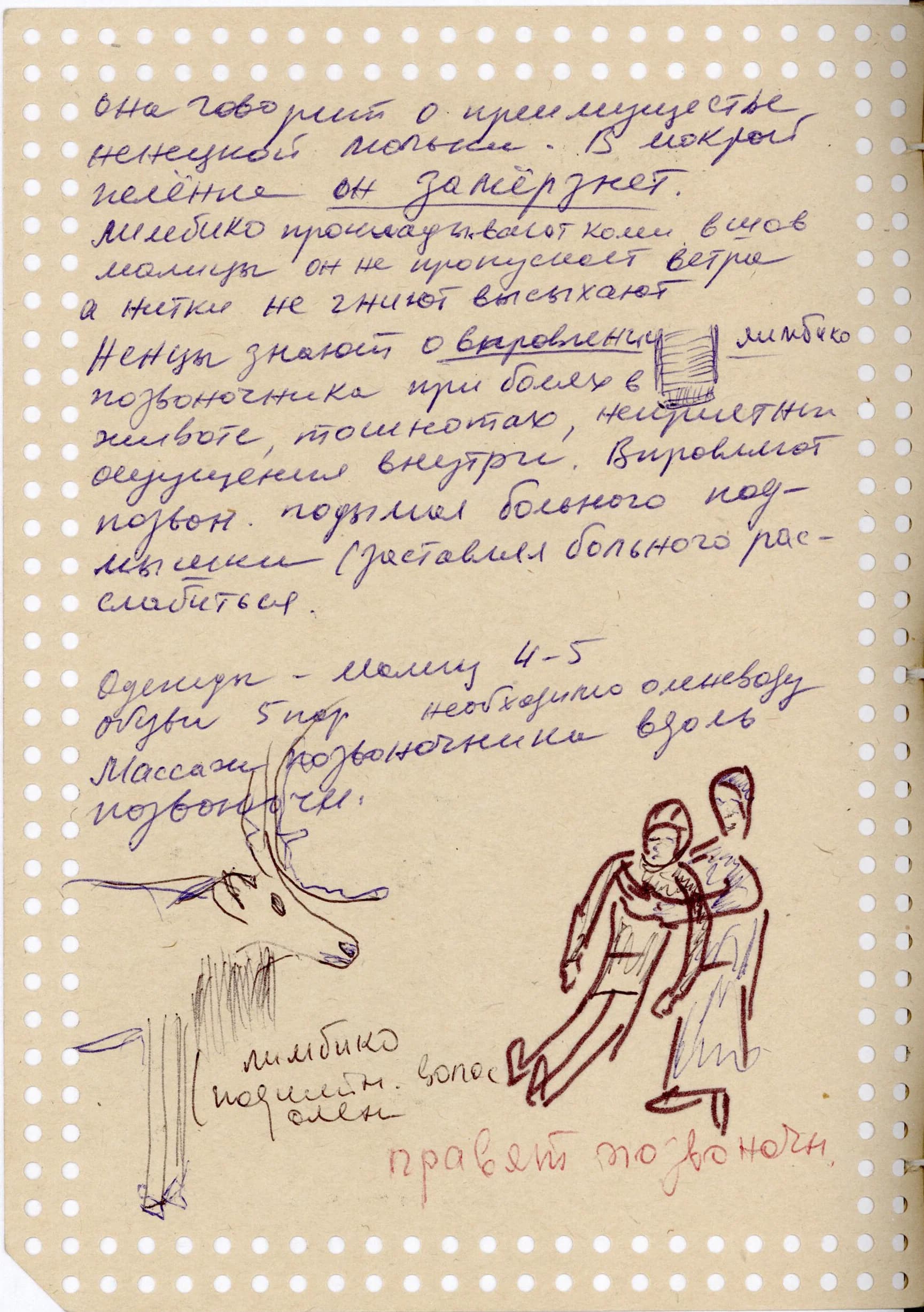Анкеты сведений по народной медицине ненцев, собранные Б.И. Василенко за 1968-1985 годы.