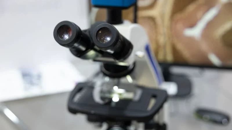 Жители Красноселькупа смогут обследоваться на рак в соседнем районе