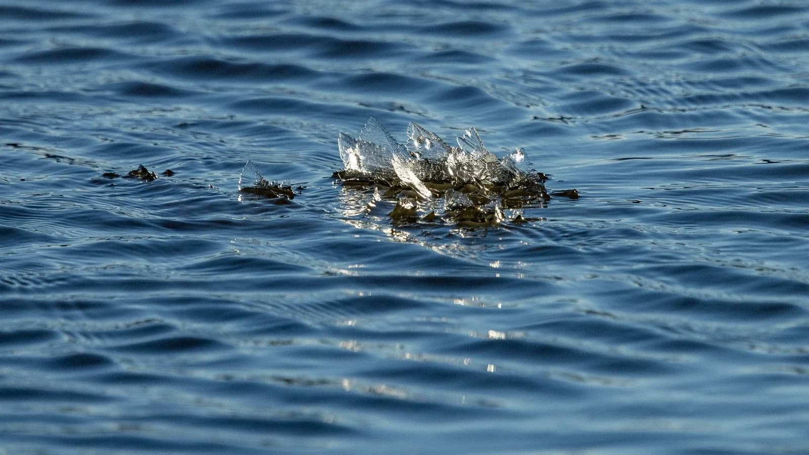 В Красноселькупском районе утвердили план противопаводковых мероприятий