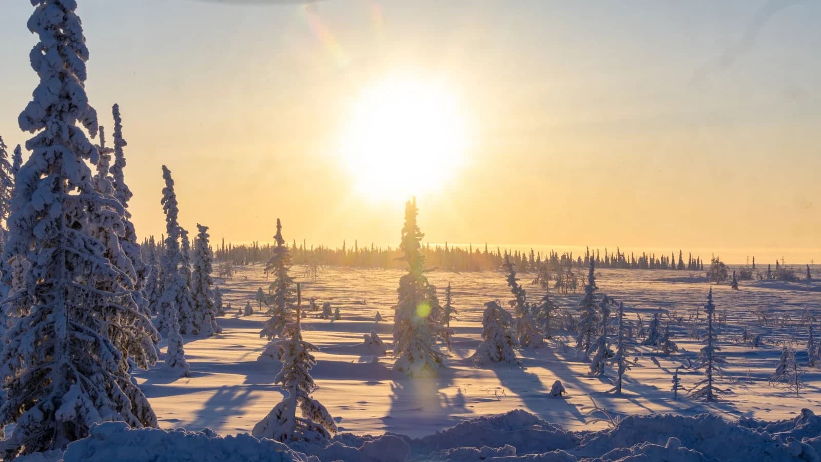 Штрафы за вред природным территориям Ямала оценили почти в полмиллиона рублей