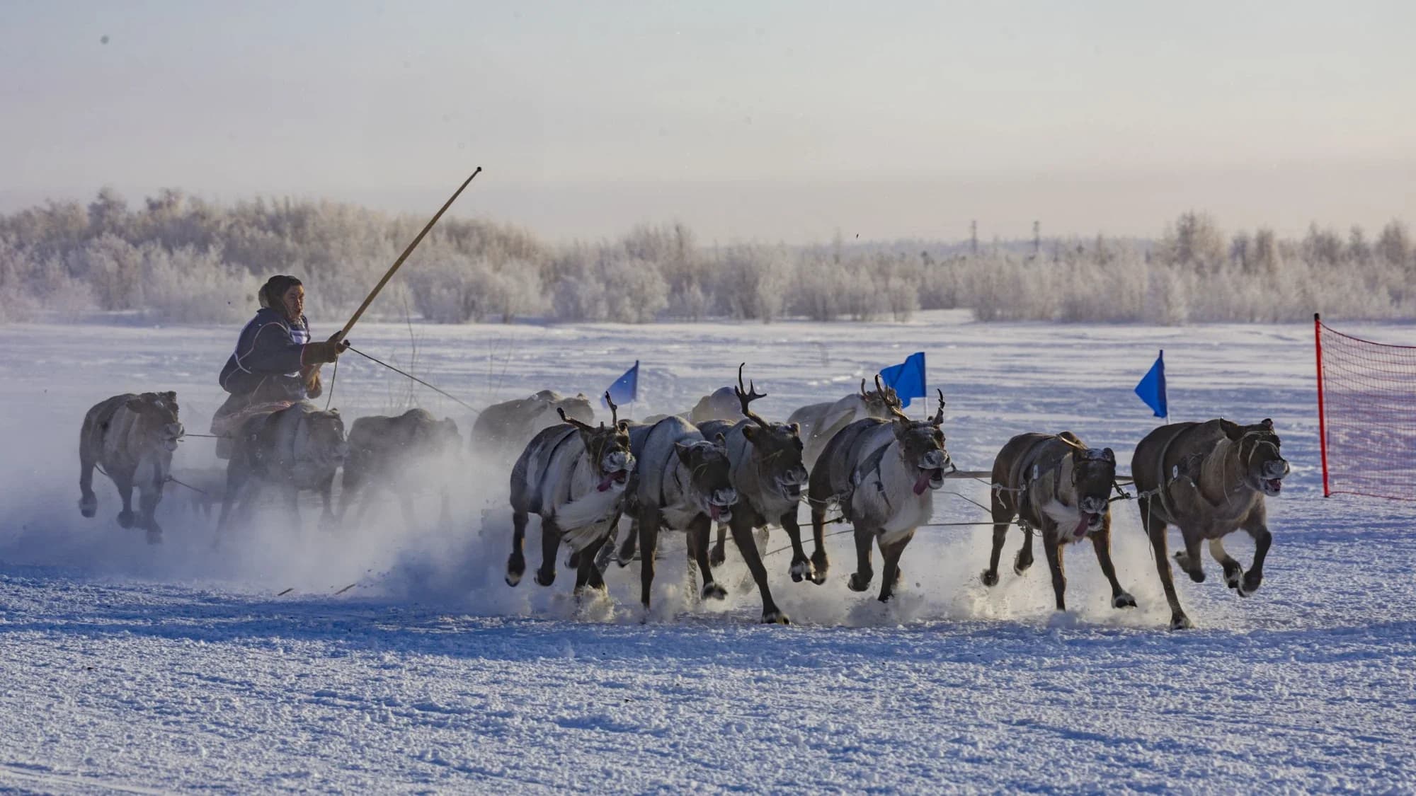 Глава Красноселькупского района объявил благодарность двум оленеводам