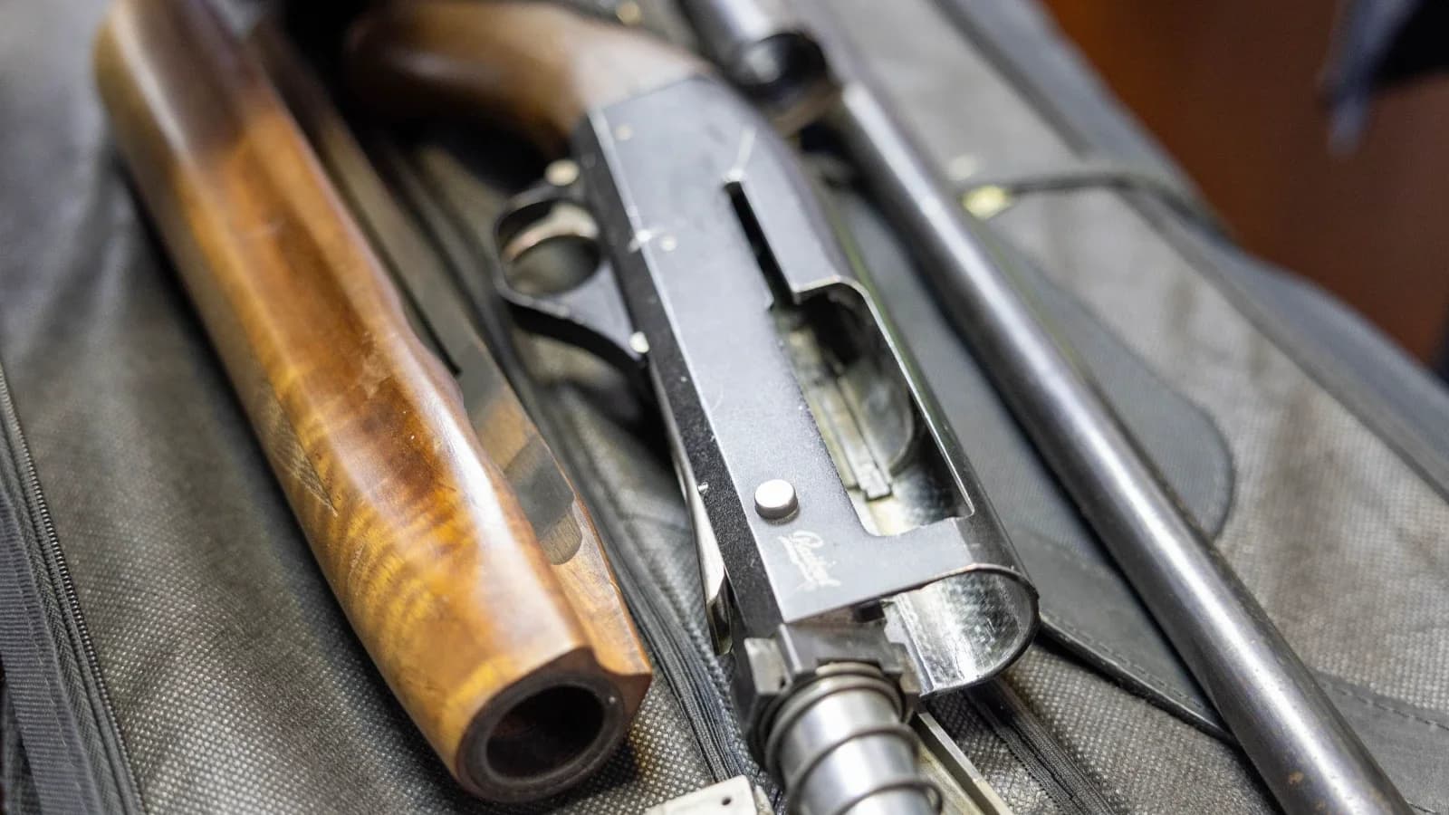 Охотников ЯНАО обязали отчитаться о добытых лисах и тетеревах