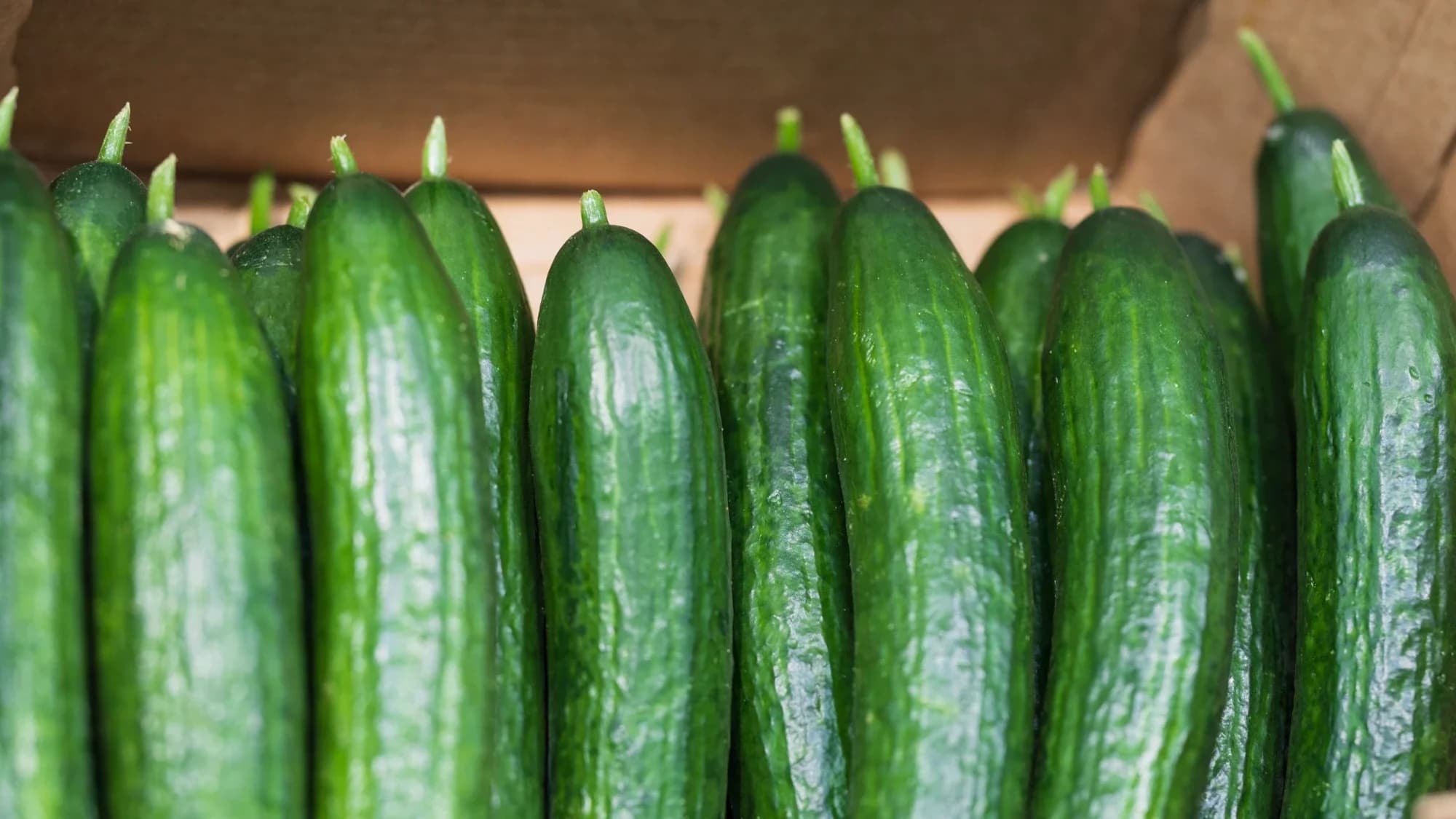 На Ямале в конце февраля начали дешеветь огурцы