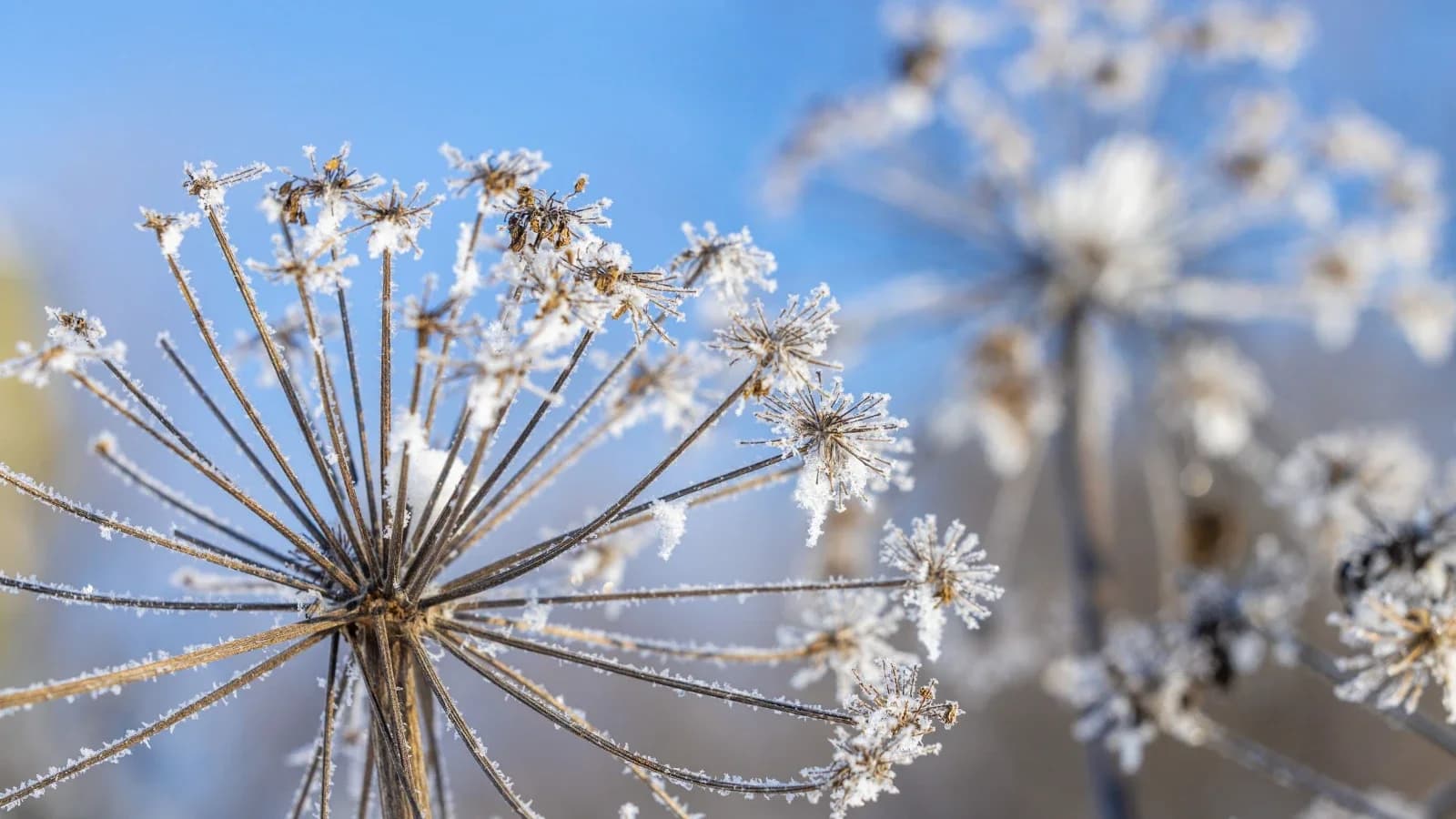 В Красноселькупе на второй неделе апреля похолодает до -20 градусов