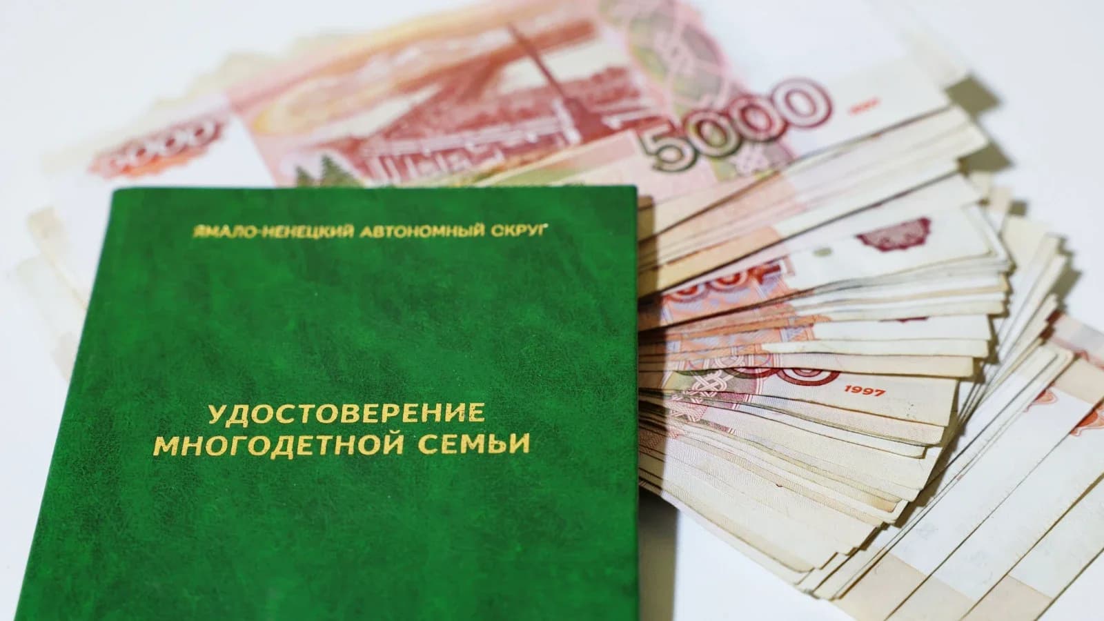 Жители Красноселькупского района могут оформить цифровое удостоверение многодетной семьи в MAX