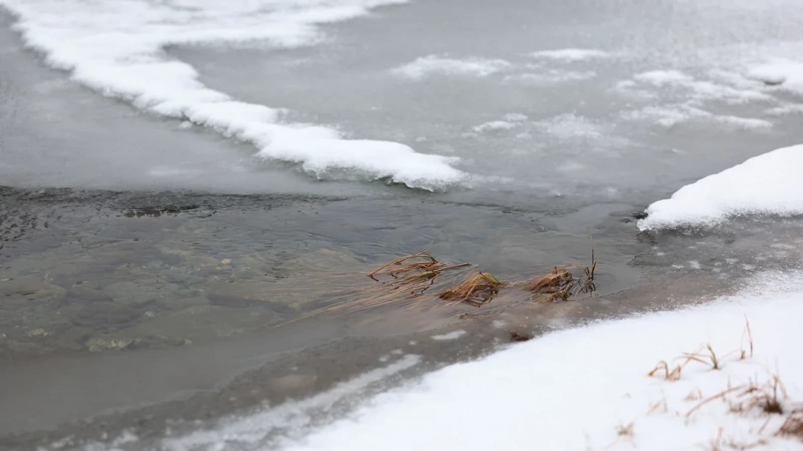 В Красноселькупском районе проконтролируют безопасность жителей во время паводка