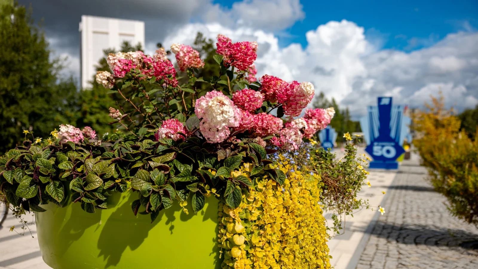 На Ямале стартовало голосование за объекты благоустройства