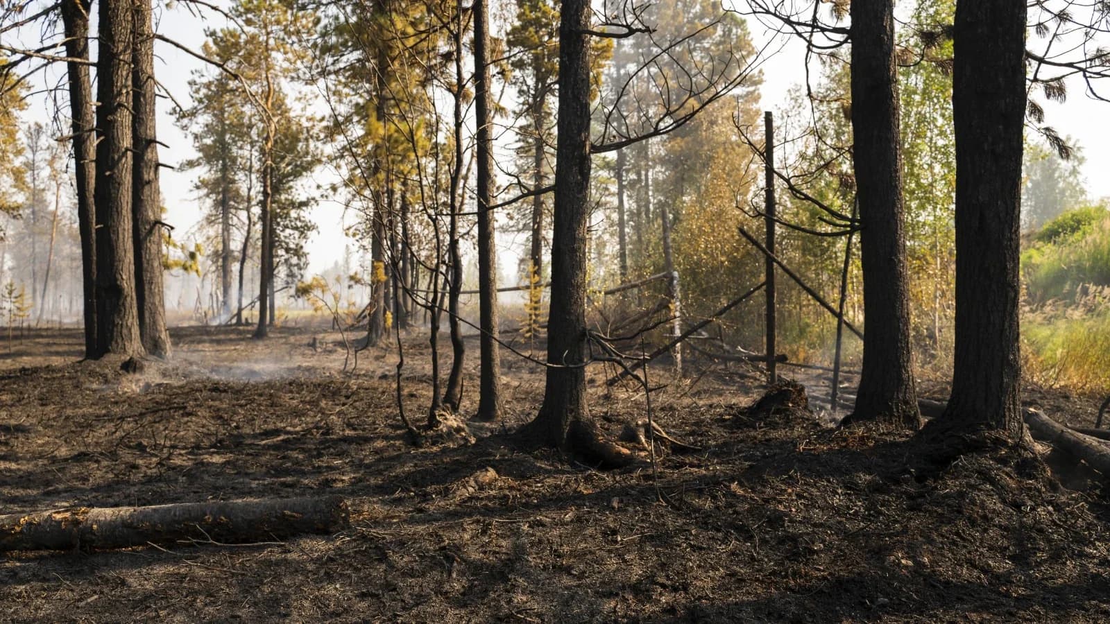Число пожаров в Красноселькупском районе сократилось в полтора раза